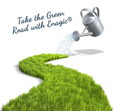The Green Way