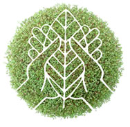 ECO